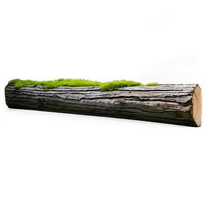 Cut Tree Trunk PNG 05242024