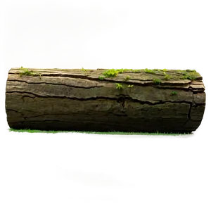 Cut Tree Trunk PNG 4