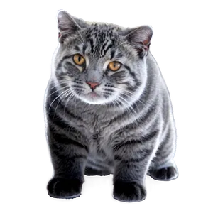 Cute A PNG