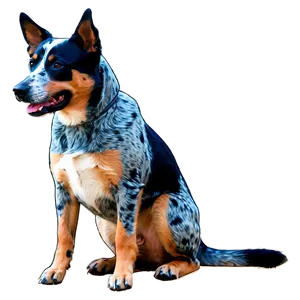 Cute Blue Heeler Sitting Png Fux95 PNG image