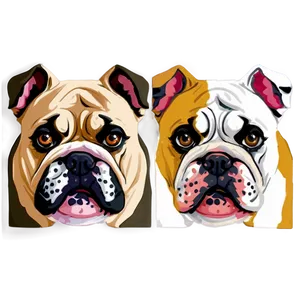 Cute Bulldog Faces Close-up PNG 38