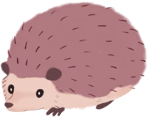 Cute Cartoon Hedgehog PNG image