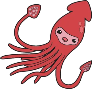 Cute Cartoon Squid PNG image