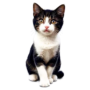 Cute Cat Art PNG 66 PNG