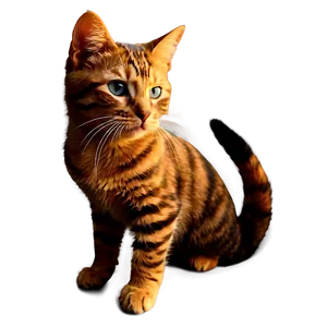 Cute Cat Avatar PNG 51