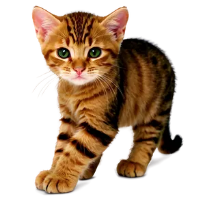 Cute Cat Clipart PNG 05232024