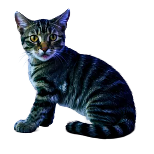 Cute Cat Clipart Png 06122024 PNG image