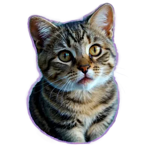 Cute Cat Drawing PNG 05232024