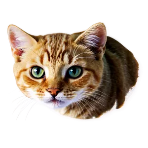 Cute Cat Emoji Png Hda6 PNG image