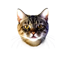 Cute Cat Face PNG 95 PNG