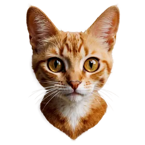 Cute Cat Face PNG Fyp PNG