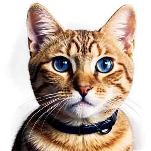 Cute Cat Filter Png Nby PNG image