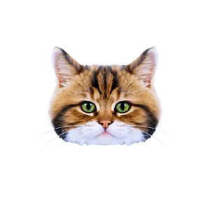 Cute Cat Icon PNG 05232024