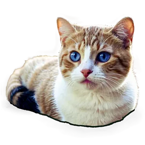 Cute Cat Meme PNG 35