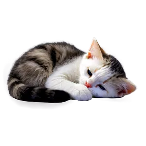 Cute Cat Outline PNG 05232024 PNG