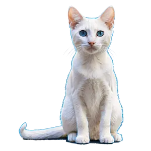 Cute Cat Outline PNG 05232024 PNG