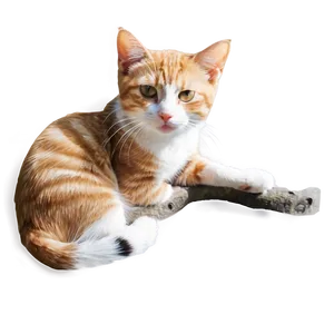 Cute Cat Pose PNG Urx48 PNG