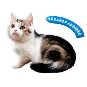 Cute Cat Pose PNG Vkf81 PNG