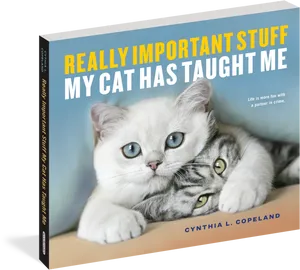 Cute Cats Book Cover PNG image
