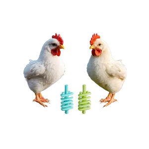 Cute Chicken Png Ofm PNG image