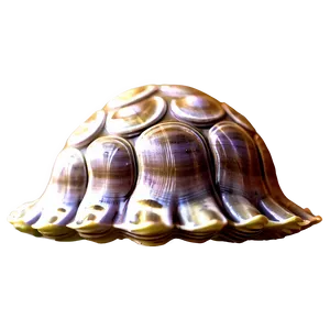 Cute Clam Emoji Png Jni87 PNG image