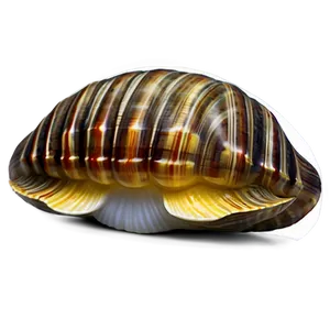 Cute Clam Emoji Png Neh75 PNG image