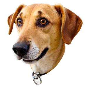 Cute Dog Face Cartoon Png 11 PNG image