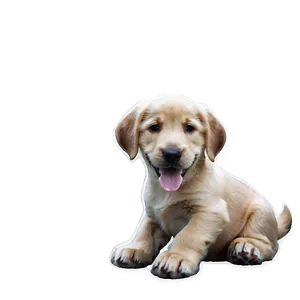 Cute Dog Transparent Png Kis21 PNG image