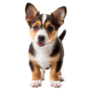 Cute Dogs PNG Bkv41