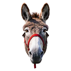 Cute Donkey Character PNG 05232024