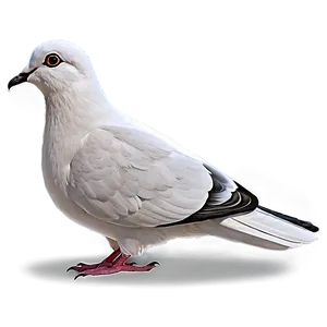 Cute Dove Clipart Png 06262024 PNG image