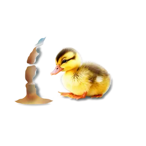 Cute Duckling PNG Uhg79 PNG