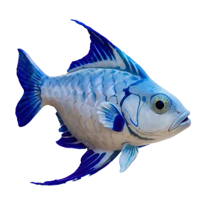 Cute Fish School PNG 06292024