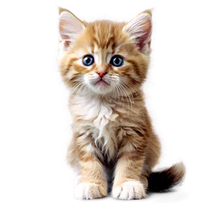 Cute Fluffy Kitten PNG Eab
