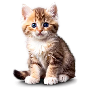 Cute Fluffy Kitten PNG Swk