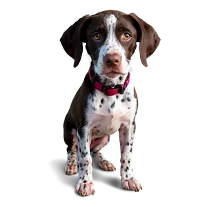 Cute German Shorthaired Pointer Dog PNG 39 PNG