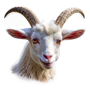 Cute Goat Png 37 PNG image