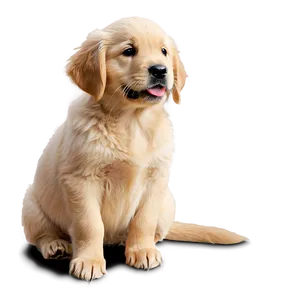 Cute Golden Retriever Puppy Sitting Png Etm PNG image