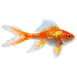 Cute Goldfish Png 05212024 PNG image