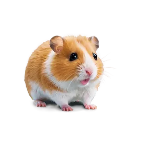 Cute Hamster Cartoon Png Yga PNG image