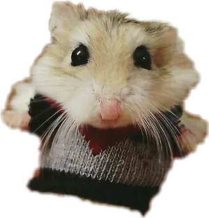 Cute Hamsterin Sweater.png PNG image