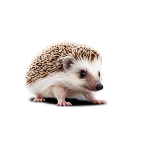 Cute Hedgehog Png Cwo86 PNG image