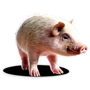Cute Hog Cartoon PNG 06252024 PNG