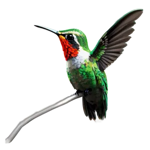 Cute Hummingbird Png Xtk25 PNG image