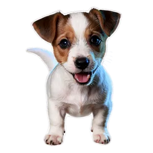 Cute Jack Russell Puppy PNG 06292024 PNG