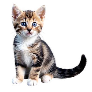 Cute Kitten Png Gtc PNG image