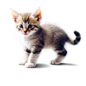Cute Kitten Png Nmv12 PNG image