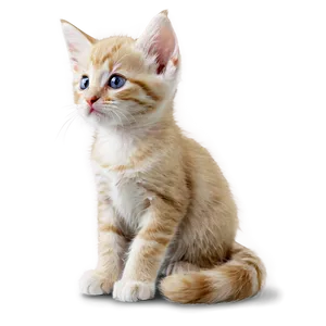 Cute Kitten PNG Qbs