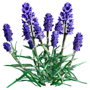 Cute Lavender Flowers PNG Njv73 PNG