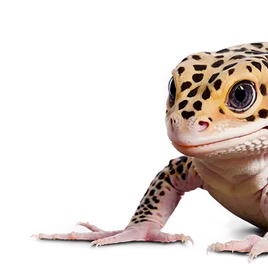 Cute Leopard Gecko PNG 12